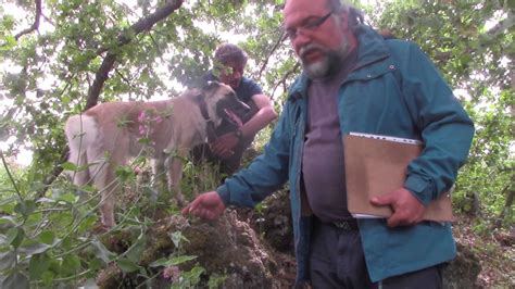 Che cos è il kebab. Che cos'e' il suolo? - YouTube