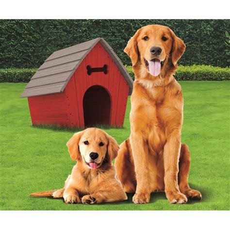 Rated 1 out of 5 by pbercier from cheap but high. Golden Retriever with Dog House Fleece Throw Blanket 50" x ...