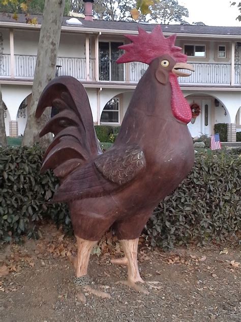 PaulsRarePoultry.com: Largest Rooster ever delivered by PaulsRarePoultry.com