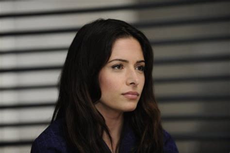 Sarah shahi portrays kate reed in fairly legal. Sarah Shahi In Fairly Legal