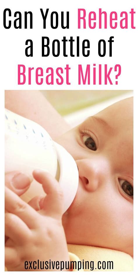 Camel milk is loaded with protein. Pin on Breastfeeding Tips