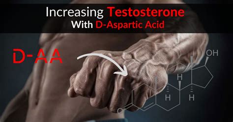 Does tribulus terrestris speed up hair loss? Increasing Testosterone With D-Aspartic Acid - Research ...