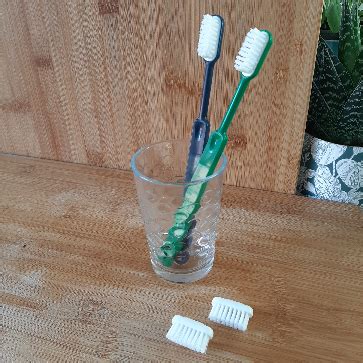 tête rechargeable brosse à dents