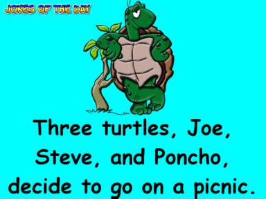 Why did it take so long for. Pin on Adult funny
