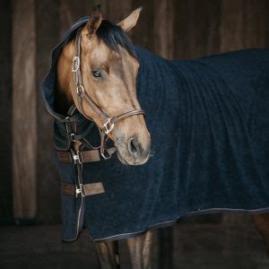 Eindecken mit einer stalldecke über die abschwitzdecken hinaus ist für bestimmte pferde bei kühlen temperaturen pflicht. Wann sollte ich mein Pferd eindecken? - Reitsport Landenhausen