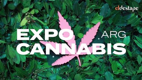 Además de 100 000 emisoras de. El Destape visitó Expocannabis ARG - YouTube