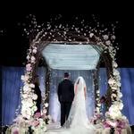 Top 10 best wedding canopies. Wedding-Canopies-