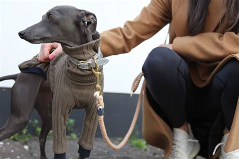 Do check that the clothes you buy, especially tops, are designed comfort is key when it comes to buying your dog any piece of apparel. @bailey_the_iggy wearing Jute and Sable #OOTD | Italian ...