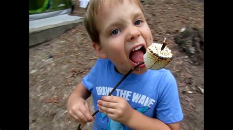 Check lake levels spot a loon or a rambling black bear. Camping at Devils Fork State Park, Lake Jocassee - YouTube