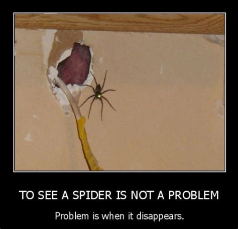 More images for burn house down spider meme » See A Spider