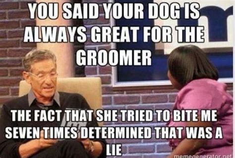 Veterinary schools are typically cheaper than vet clinics and animal hospitals. Pin by Liny on Funny Grooming sayings | Vet tech humor, Veterinary humor, Dog grooming