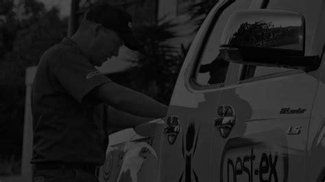 Anticimex singapore is one of the largest pest control companies in the world. pest-ex-bg - Pest Ex Philippines