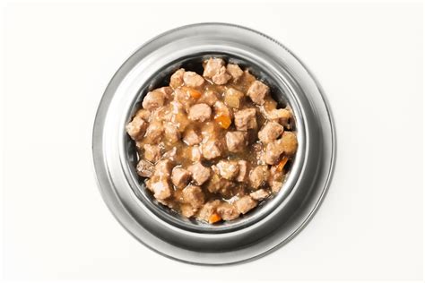 They also more closely resemble the fresh meat your cat would be as a nutritional staple in your cat's diet, it is best to choose a complete wet food that contains all the nutrients they need to stay healthy. Do Cats Need Wet Food? - Petsoid