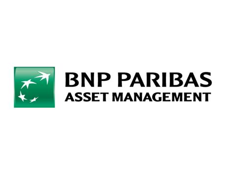 Isabelle bourcier, head of quantitative & index, bnp paribas asset management comments: BNP Paribas Asset Management: Passing the LDI baton to the ...