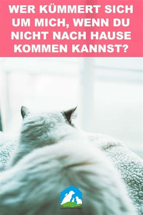 Die notfallkarte mit dem kostenlosen online notfallpass zugang, ist dein unscheinbarer lebensretter: Die Haustier Notfallkarte - Dein Plan B im Notfall! Als ...