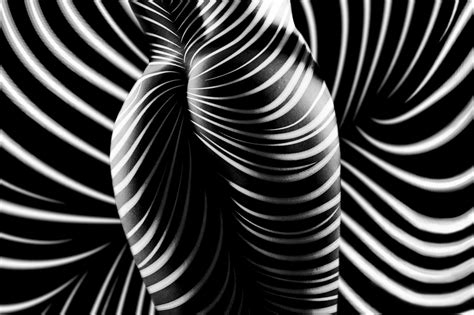 Find stockbilleder af close cactus black white photography i hd og millionvis af andre royaltyfri stockbilleder, illustrationer og vektorer i shutterstocks samling. MonoVisions Black and White Photography Awards 2019 ...