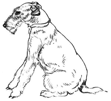 You can start this calendar in any month. 19 Pekingese Coloring Pages - Printable Coloring Pages