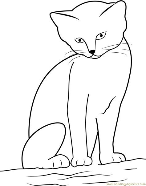 No annoying ads, no download limits, enjoy it and don't forget to bookmark and share the love! Cat looking Cute while sitting on Sand Coloring Page ...