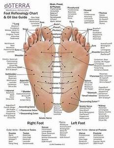 Hand Foot Reflexology Cardstock 8 5x11 Foot Reflexology