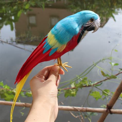 Pecinta burung menyebutnya sebagai kakatua mini. Buatan Parrots Burung Dekor Simulasi Burung burung Putih ...