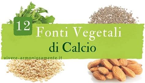 Elenco di alimenti contenenti ossalati. Ecco quali sono gli alimenti ricchi di calcio e i consigli ...