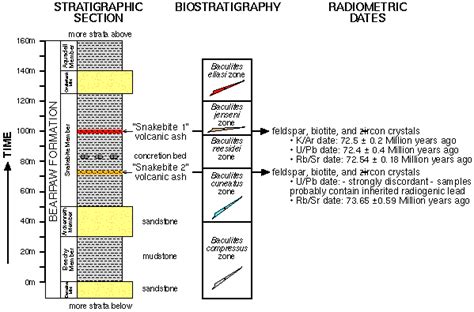 Any radioactive elements in a rock are unstable and 'decay' at a steady, measurable rate. Absolute dating examples. Absolute dating examples.