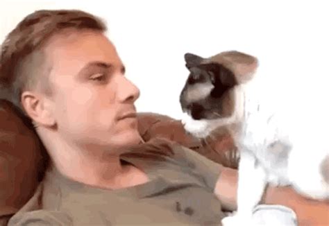 6 Signs Your Cat Actually Loves You & Isn't Just In It For ...