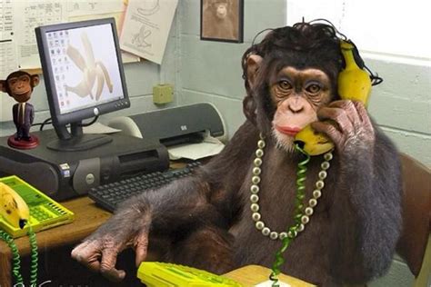 Monkeys funny #monkeys #funny #humor meme of a monkey staring dumb at a yellow flower captioned as how it feels to be back at your desk after a long weekend. "NEW" webinar with great traffic conversion rate! Drive ...