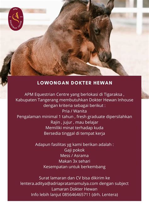 Lowongan pt indonesia comnets plus (icon+) (pln grup) juni 2021. Lowongan Kerja : APM Equestrian Centre Tigaraksa