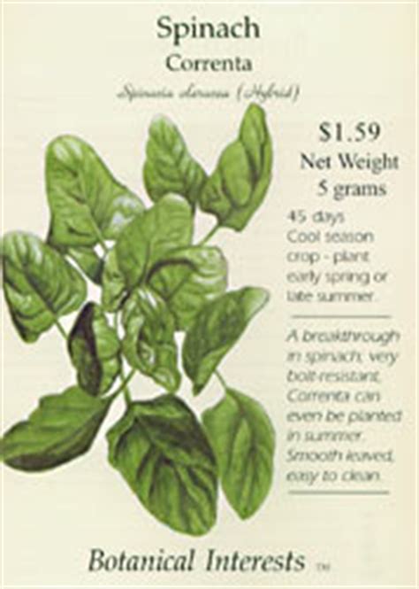 0 more photos view gallery. Live Plants - Vegetable Seeds (Page 2 of 6): Ancho Poblano ...