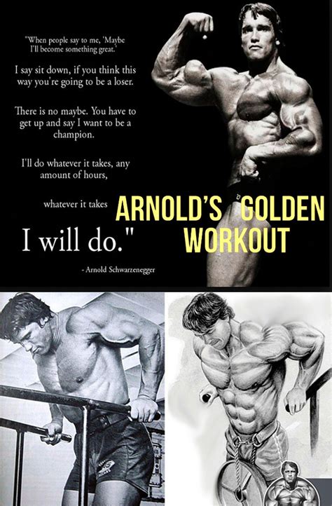 We did not find results for: Arnold's Parallel Bar Dips | Chest routine, Fun workouts ...