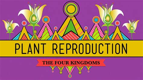 In fact bees help us all survive. The Plants & The Bees: Plant Reproduction - CrashCourse ...