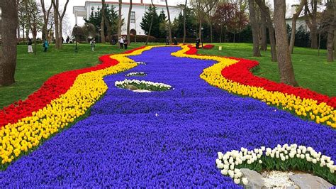 Memberi nama yang baik kepada anak diwajibkan oleh agama dan juga tradisi. Nikmati Keindahan Festival Bunga Tulip Di Turki Tahun 2020