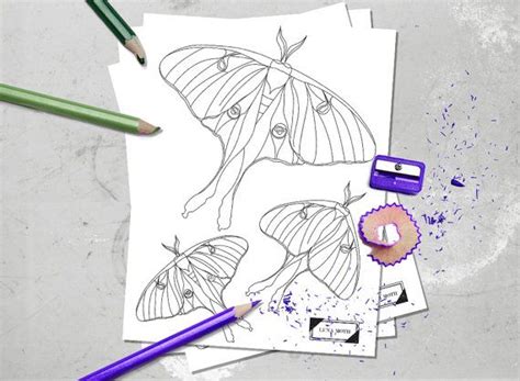 Use the filter on top. Printable Coloring Page - Luna Moth - Instant Downloadable ...