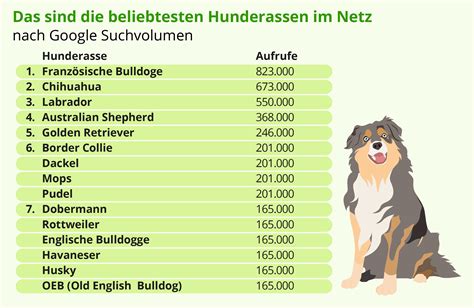 Eigentlich bist du glücklich, dass dein welpe endlich eingezogen ist, aber…. 57 HQ Images Wann Sind Hunde Stubenrein - Hund frisst ...