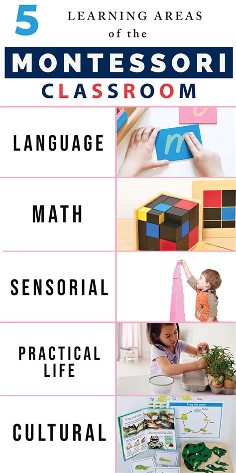 What are some tips for setting up a montessori classroom? Pin on Montessori your classroom and homeschool