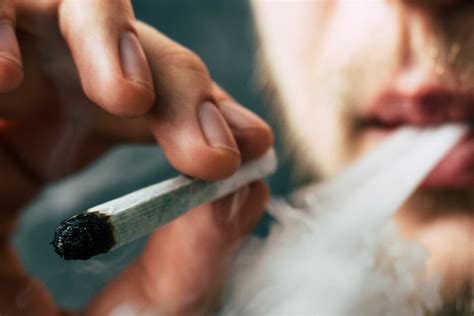 Damn, you can even eat weed. Smoking Cannabis | Can I Smoke Marijuana In My Apartment ...
