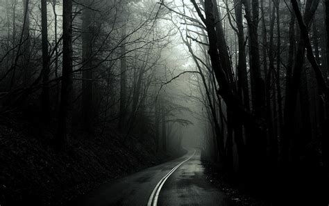 Vector black and white wallpaper. Black and white trees dark forest roads monochrome ...