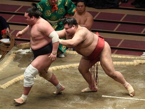 Suggest as a translation of かわいい. 寺沢逆とったり!豊山＆徳勝龍流血／9日目写真特集 - 大相撲 ...