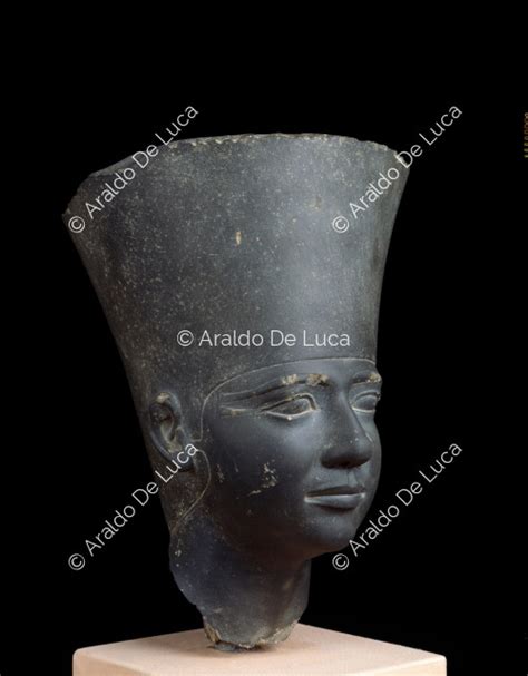 Colorati in modo da confondersi nell'ambiente codycross soluzioni. Testa di Userkaf - 21308