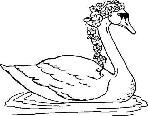 All swan coloring page pages click trumpeter view printable version color online compatible with ipad android tablets download hi res diagram acrostic louis. Swan Coloring Pages - Best Coloring Pages For Kids