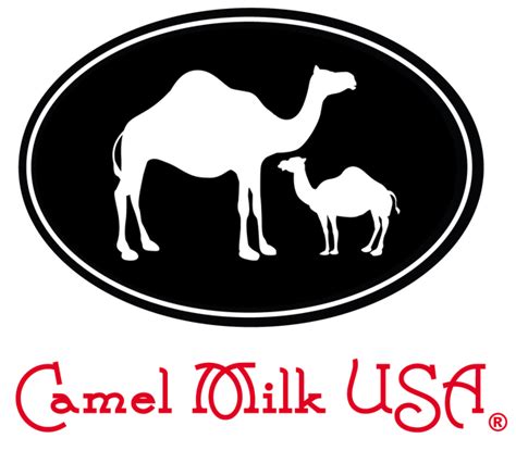 The taste and texture are extremely all rights reserved. Mmmm...Camel Milk - CultureJunkie