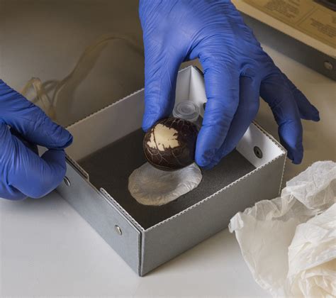 Moving a Still Artifact: Film Critiques the Museum — UnionDocs