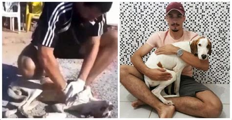 América futebol clube (sp)* feb 5, 1982 in campinas, brazil. Estudiante de veterinaria llega a tiempo cuando un perro ...