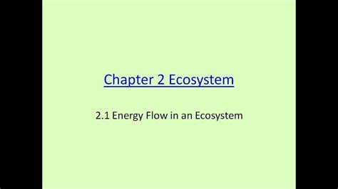 However, when i go through your book, photosynthesis is not covered. KSSM 2018 Science Form 2 Chapter 2 2.1 - YouTube