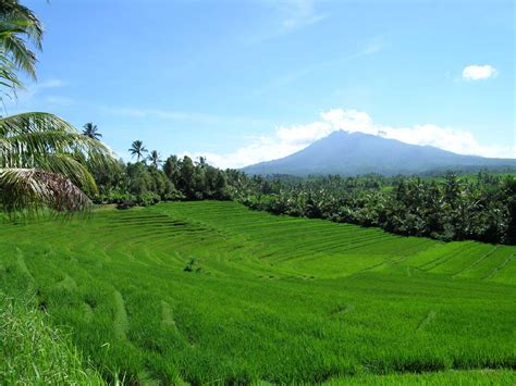 Pengangkutan awam menjadi sistem utama yang menggerakkan manusia dalam kehidupan seharian. Kebaikan Menggunakan Pengangkutan Awam | LEMBAR BAHASA