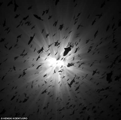 Последние твиты от black deep (@blackdeep1). The deep blue sea in black and white: Photographs from ...