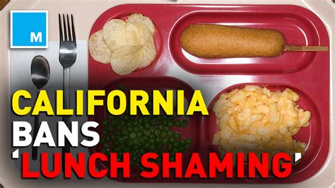 @davidhammen these laws are in place for a very good reason. California law outlaws 'lunch shaming' in schools - Culture