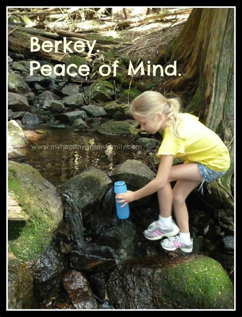 Using a new 3m scotch brite pad, carefully scrub the outer black surface of the filtering. Clean Water For Emergencies or Everyday: Berkey Water ...