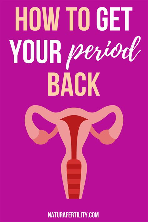 How To Get Your Period Back, trying to conceive, fertility ...